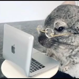 Meet your Posher, Robin